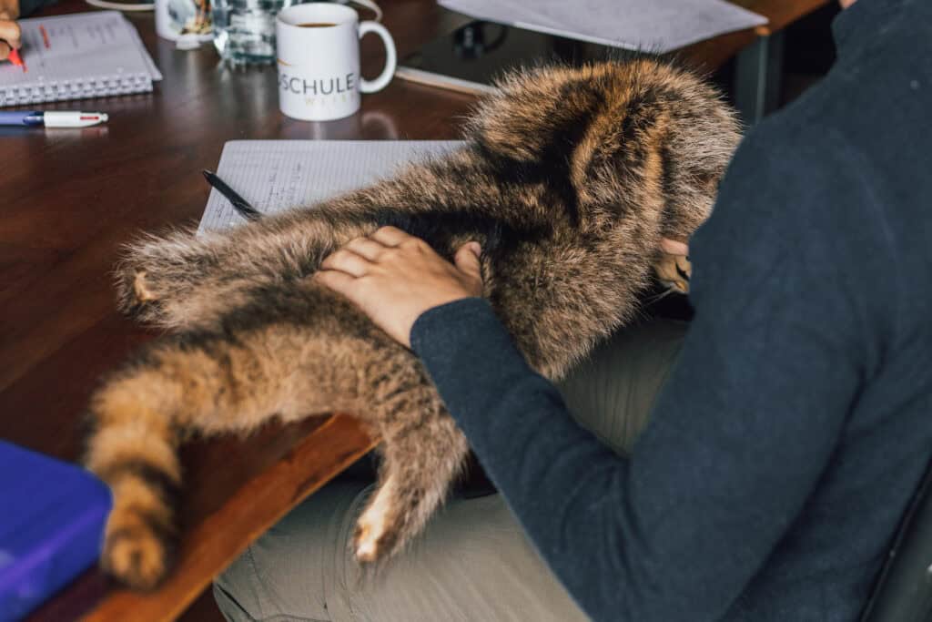 praktischer Jagdunterricht Jagdschein in Niedersachsen vor Baden Württemberg
